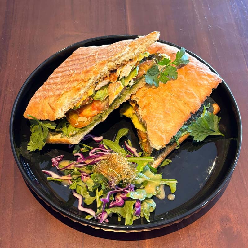 Chicken Pesto Panini